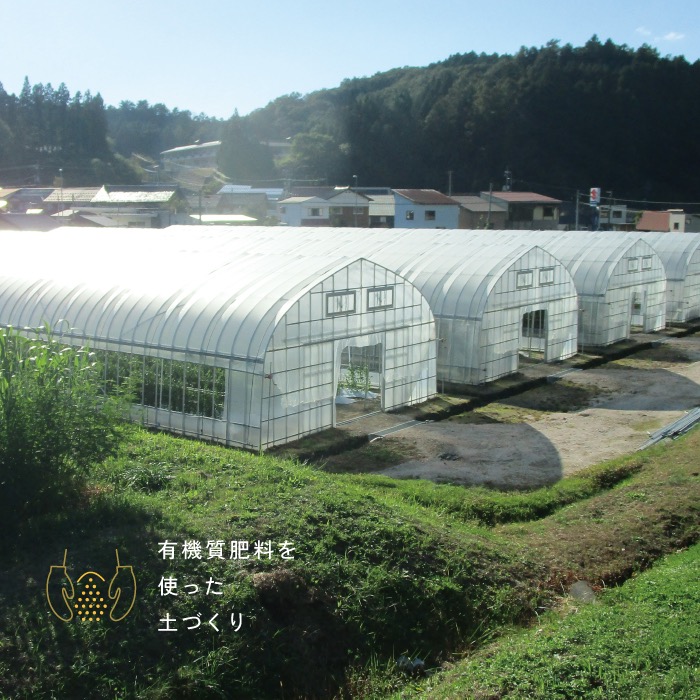 有機質肥料を使った土づくり