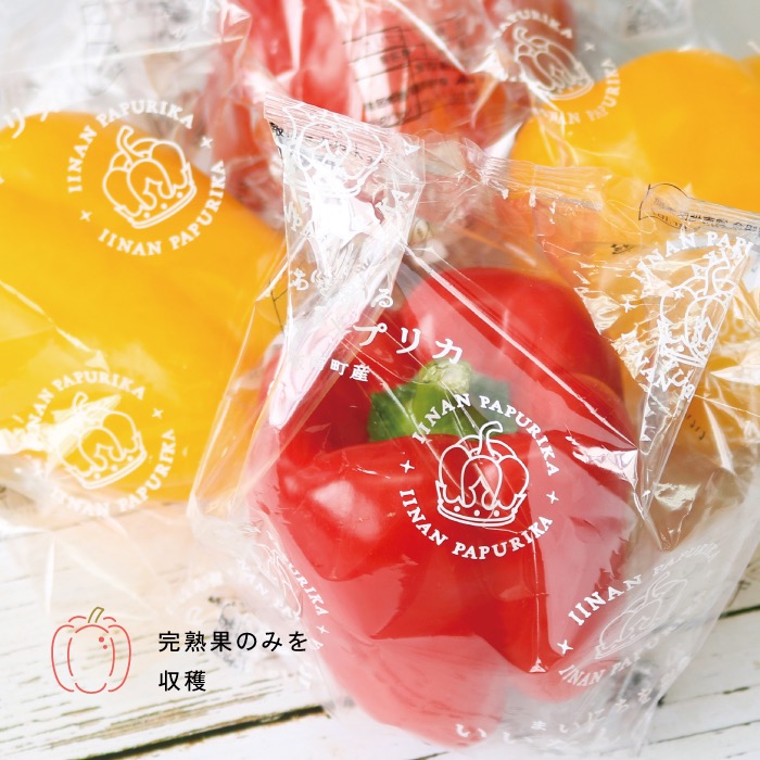 完熟果のみを収穫